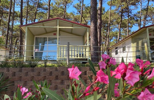 Nazare RV Rental | Parque de Campismo Orbitur Valado