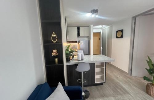 Downtown Santiago Apartment | Parques I Movistar Arena I Estacionamiento
