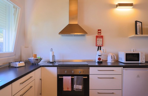 Ribeira Grande Other | Parrots Village