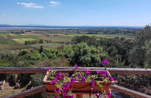Castiglione della Pescaia Apartment | Part of a beautiful villa with swimming pool and garden, 4 km from the sea