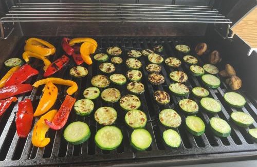Mueggelheim Boat Rental | Party Grill Boot