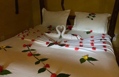 Nungwi Hotel | PASA LODGE ZANZIBAR