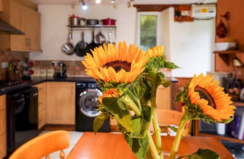 Glandyfi House | Pass the Keys | Scenic Rural 3 bedroom Cottage