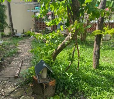 Hoi An City Centre Hotel | Pastorale Villa Cam Chau