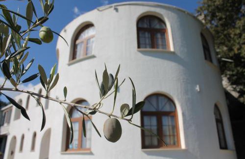 Kaluđerac Apartment | Pataki Guesthouse