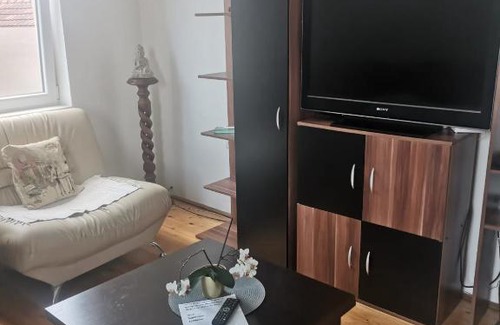 Kragujevac Apartment | Paun 034