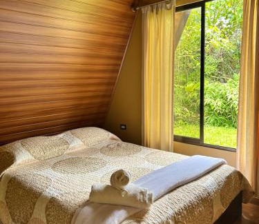Baru House | Pavón dorado