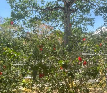 Samara House | Peaceful and beautiful Casa Almita Bonita