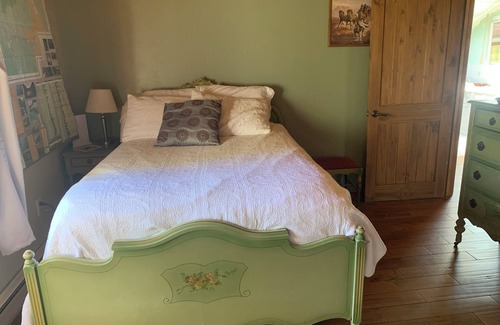 Custer County Other | Peaceful and private 3-bedroom ranch house near Challis