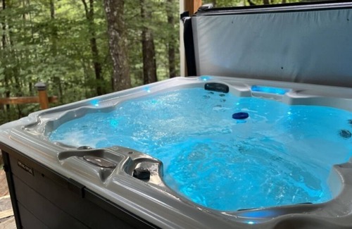 Hiawassee Cabin | Peaceful "Black Bear Mountain Retreat" Cabin N. GA