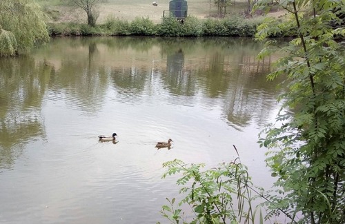 Hadlow Down Cabin | Peaceful, Cosy and Secluded Lakeside Fisherman's Huts