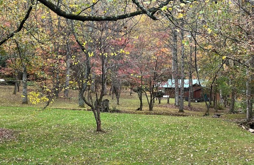 Andrews Cabin | Peaceful Firefly Creek Cabin in Nantahala- pet-friendly