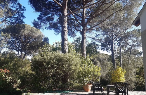 La Bouverie House | Peaceful, air-conditioned villa in the heart of nature