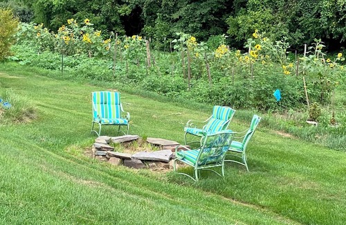 Lexington Cottage | Peaceful Gardenside cottage 5 minutes from downtown Lexington VA