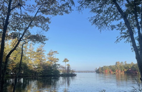 Nobleboro Cottage | Peaceful lakefront cottage on nine acres, minutes from mid coast villages