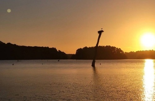 Hemphill Cabin | Peaceful Serenity on the Lake in this Beautiful Lakefront Beach House