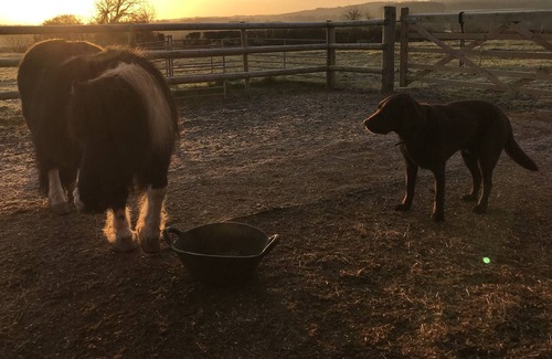 Fiddington House | Peaceful Somerset Retreat With Views Over Quantock Hills
