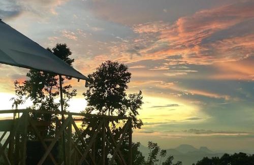 Udapalatha Other | Peacock Hill Glamp