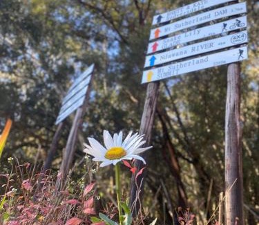 Kwa Sani House | Pear Tree Cottage-Underberg