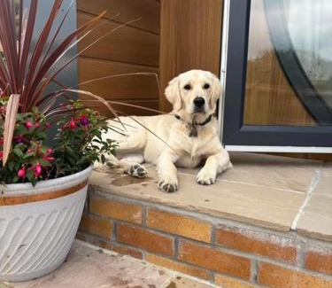 Holsworthy House | Pear Tree Pod with secluded outdoor bath - Dog Friendly