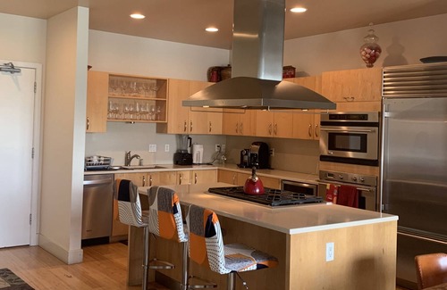 Northwest Portland Condo | Pearl District, Penthouse Terrace Unit- 2 decks , 1 block from Fields park,