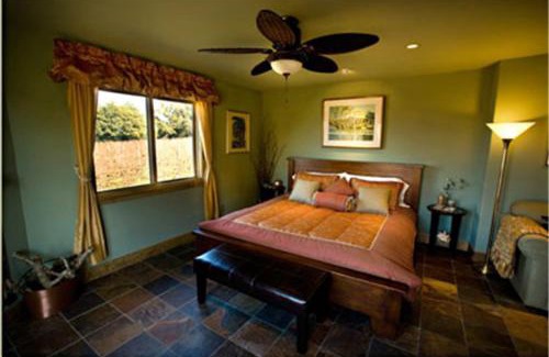 Sebastopol Hotel | Pearlessence Vineyard Inn