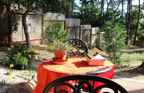 Pebble Beach Cottage | Pebble Cottage: New, Elegant And Steps Away From The Lodge And Stevenson School
