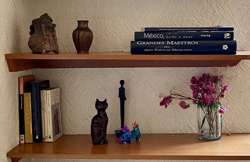 Coyoacan Apartment | Pedregal Gate