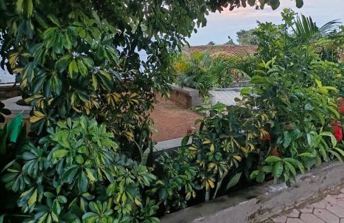 Eastern Region House | PEKU Berry's Arena