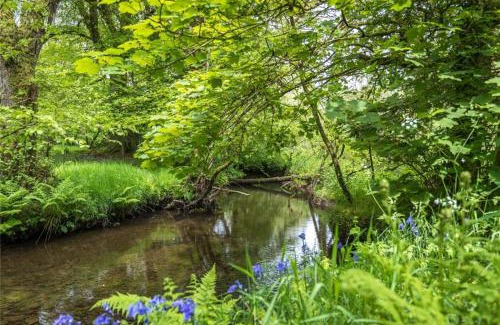 Llanfyrnach Other | Pembrokeshire Yurts - Badger