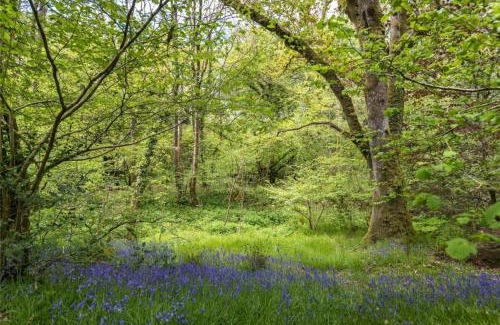 Llanfyrnach Other | Pembrokeshire Yurts - Badger