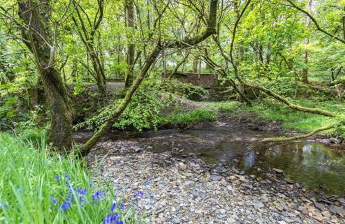 Llanfyrnach Other | Pembrokeshire Yurts - Badger