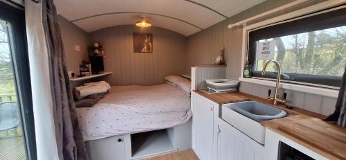 Tirabad Other | pen-rhos luxury glamping "The Hare Hut"