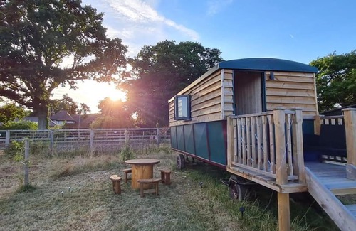 Pulborough Other | Penelope