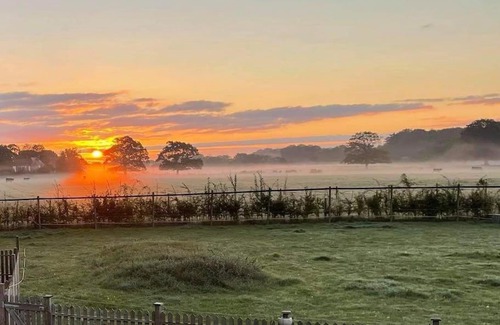 Pulborough Other | Penelope