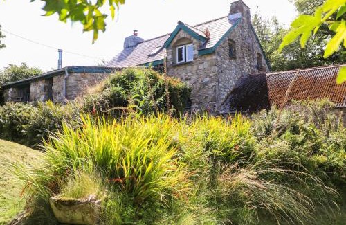Newport House | Penfeidr Newydd