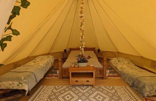 Mount Hawke Other | Penhallow Glampsite