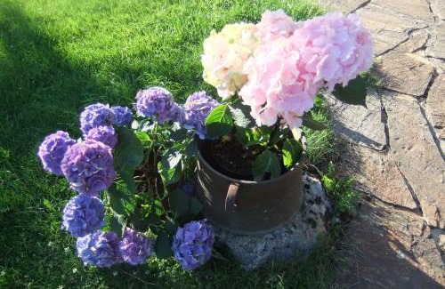 Bad Aussee Bed & Breakfast | Pension Alpenhof