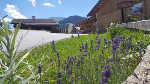Wildschoenau House | Pension Biobauernhof Hinteraltensberg