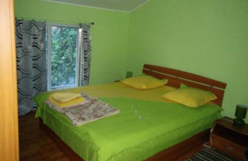Baile Herculane House | Pension Casa Anadam