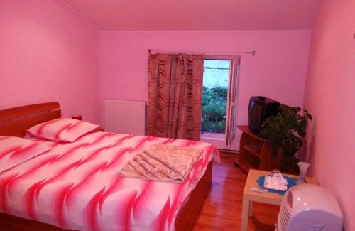 Baile Herculane House | Pension Casa Anadam