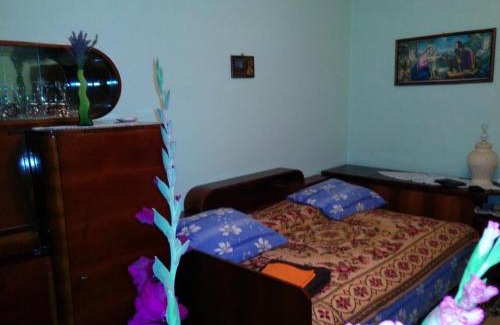 Baile Herculane House | Pension Casa Anadam