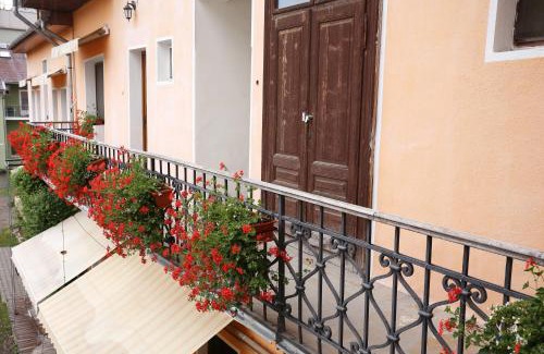 Sfantu Gheorghe House | Pension Ferdinand Panzio