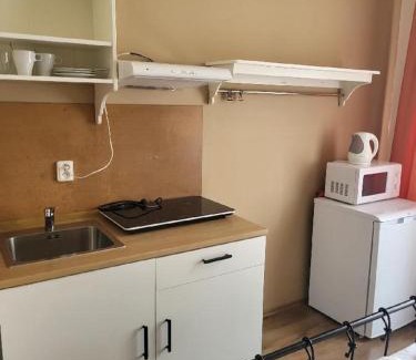Vysehrad Apartment | Pension Sunflower