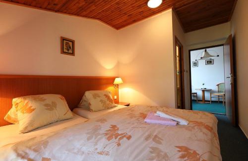 Harrachov Hotel | Pension Venus