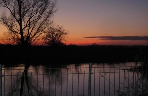 Muhr am See House | Pension "Zum Schwan"