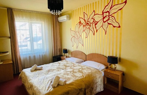 Center House | Pensiunea Ileana