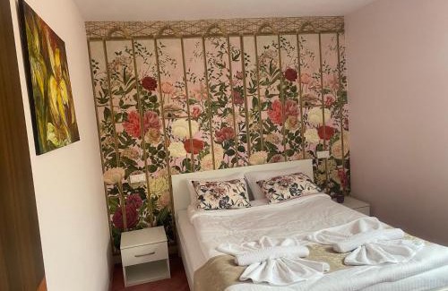 Medias House | Pensiunea Irish