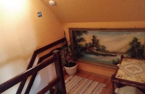 Danesti House | Pensiunea Lali Madaras Ciuc