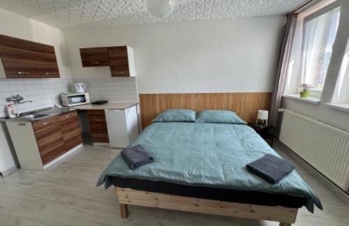 Bela pod Pradedem House | Penzion a Rybářská bašta U Jesetera